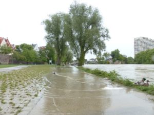 flooded street