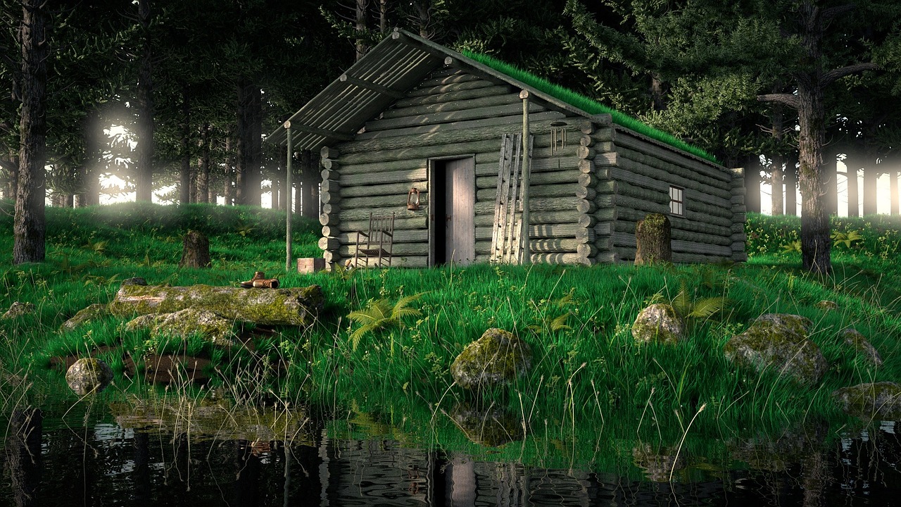 forest house